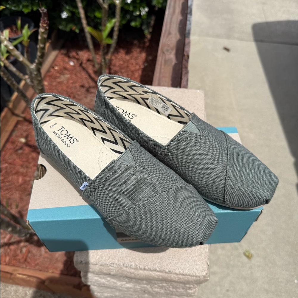 TOMS Bonsai Green
Heritage Canvas